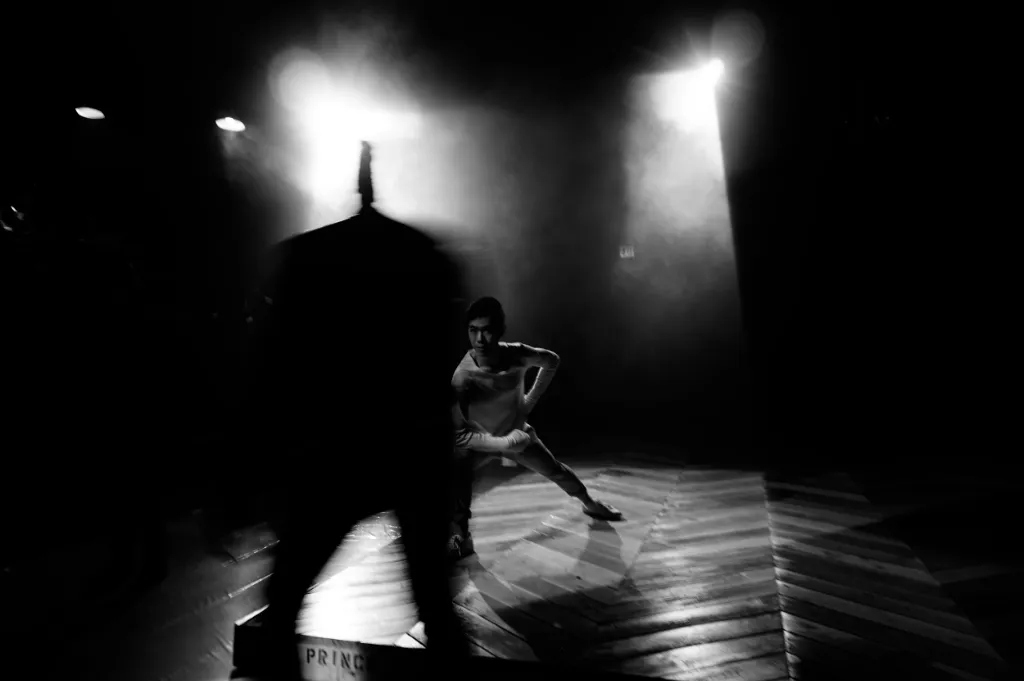 Prince Hamlet - Motion and shadow sequence